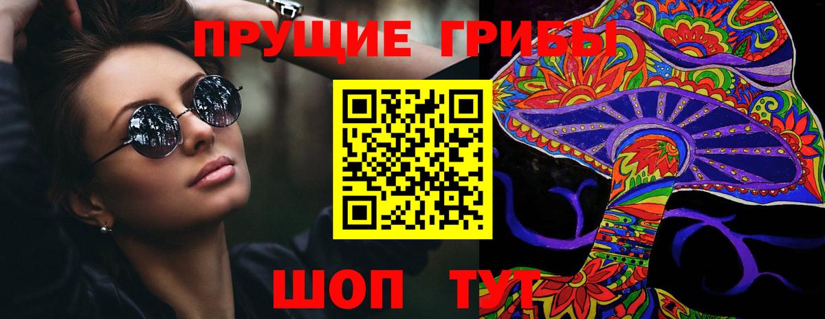 Галлюциногенные грибы Psilocybe Рославль
